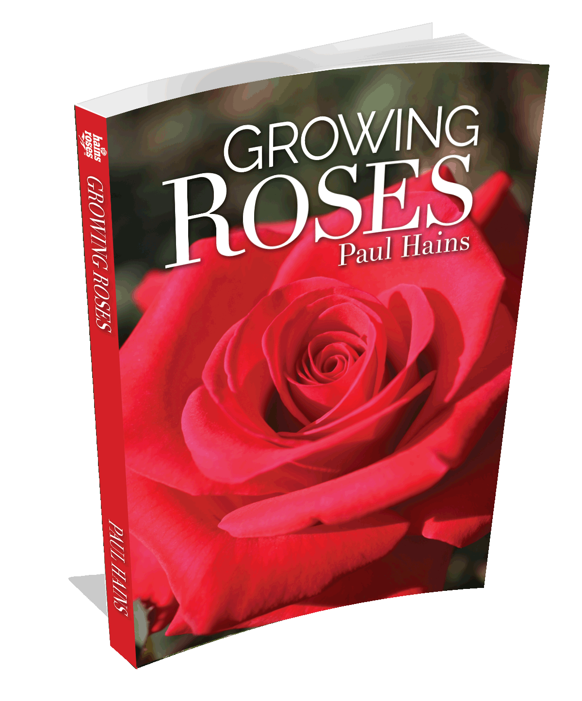 Growing Roses - Buy Online